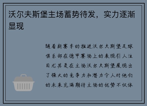 沃尔夫斯堡主场蓄势待发，实力逐渐显现
